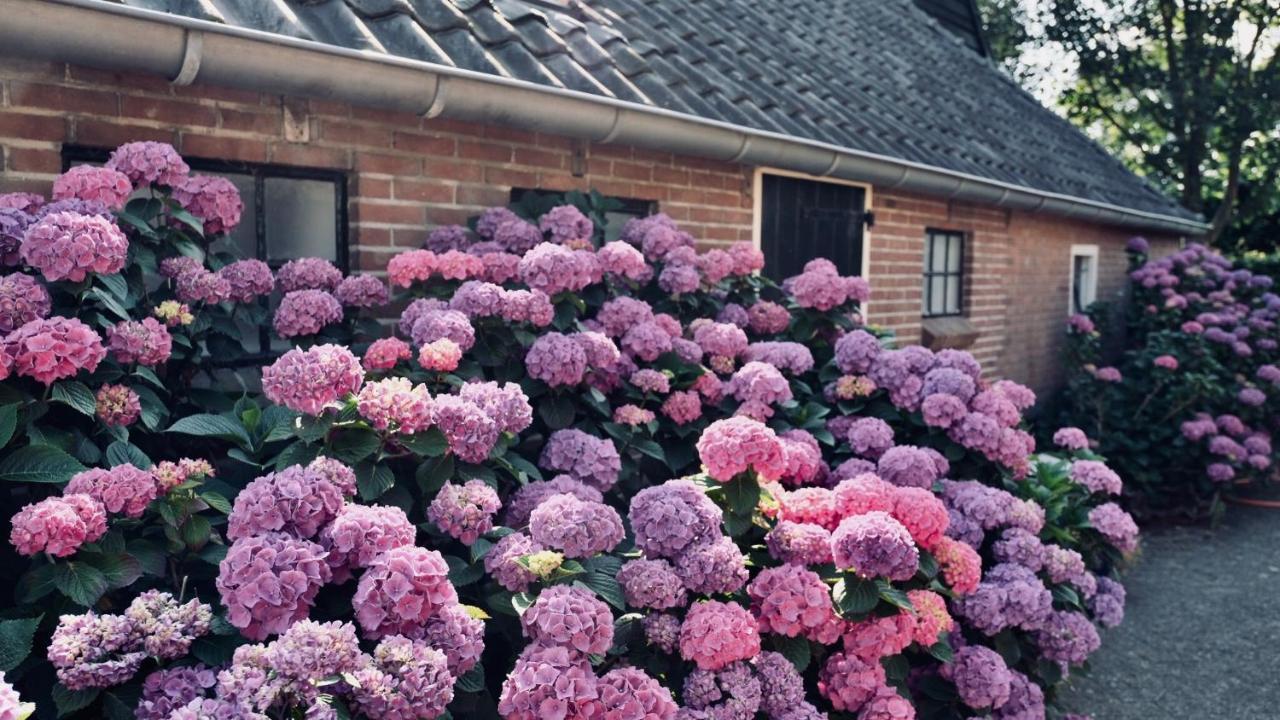 Bed and Breakfast Onder De Appelboom Garminge Exterior foto